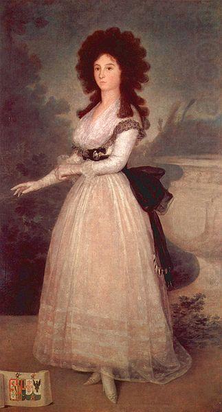 Portrat der Dona Tadea Arias de Enriquez, Francisco de Goya